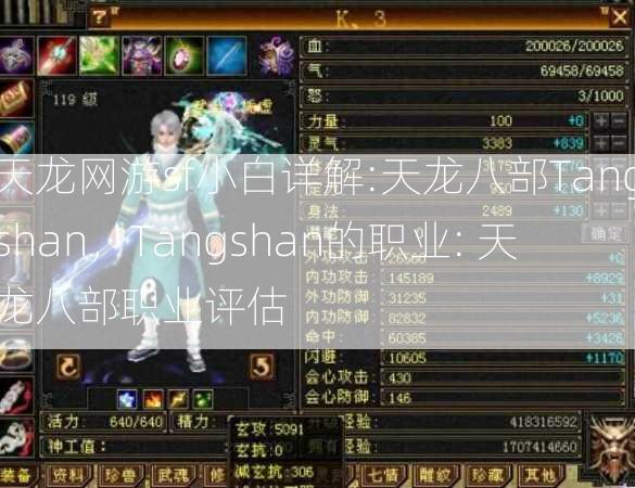 天龙网游sf小白详解:天龙八部Tangshan，Tangshan的职业: 天龙八部职业评估