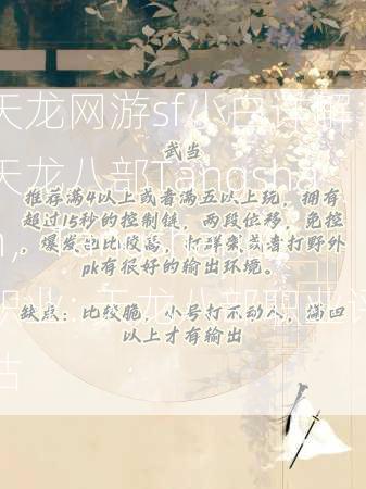 天龙网游sf小白详解:天龙八部Tangshan，Tangshan的职业: 天龙八部职业评估  第3张