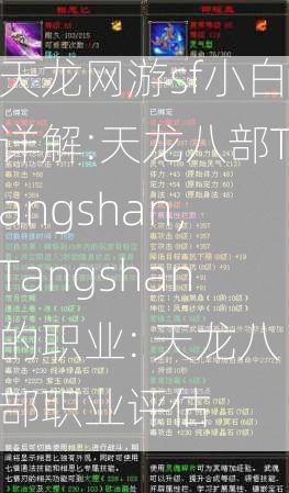 天龙网游sf小白详解:天龙八部Tangshan，Tangshan的职业: 天龙八部职业评估  第2张