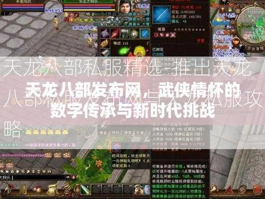 天龙八部私服精选-推出天龙八部私服发布网与天龙私服攻略