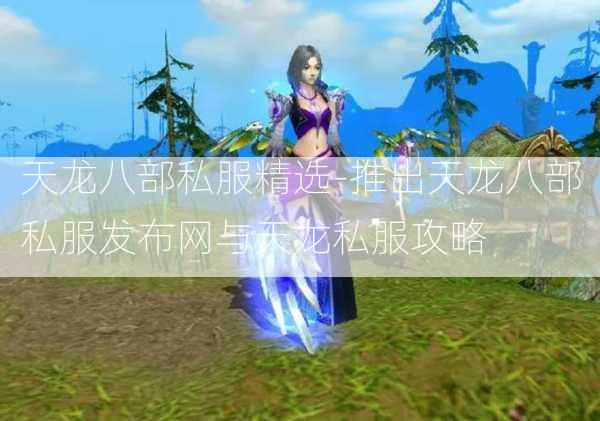 天龙八部私服精选-推出天龙八部私服发布网与天龙私服攻略  第2张
