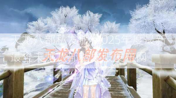 天龙八部私发服-2025年度最新最全天龙八部私发服发布网  第3张
