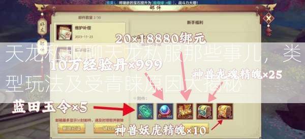 天龙私服聊天龙私服那些事儿，类型玩法及受青睐原因大揭秘