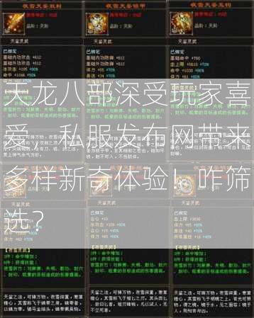 天龙八部深受玩家喜爱，私服发布网带来多样新奇体验！咋筛选？  第2张