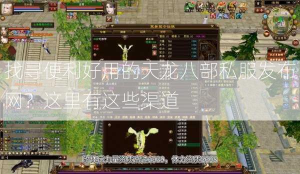 找寻便利好用的天龙八部私服发布网？这里有这些渠道  第2张