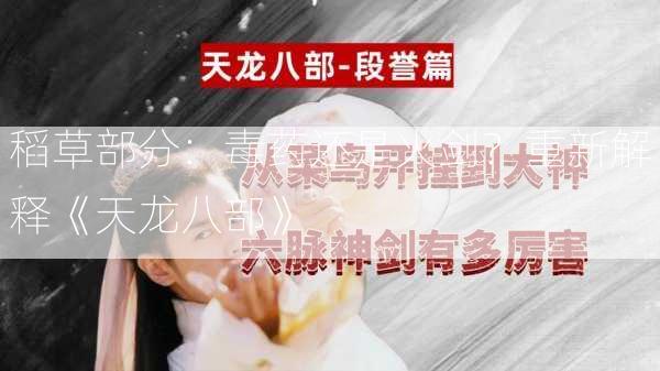 稻草部分：毒药还是火剑？重新解释《天龙八部》  第2张