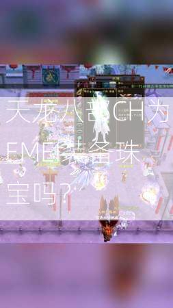 天龙八部CH为EMEI装备珠宝吗？  第2张