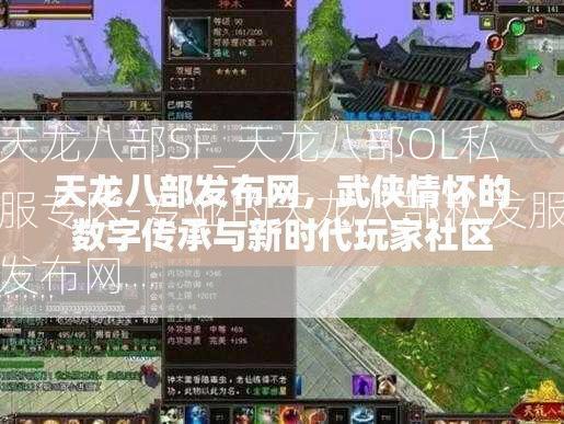 天龙八部SF_天龙八部OL私服专区-专业的天龙八部私发服发布网  第2张