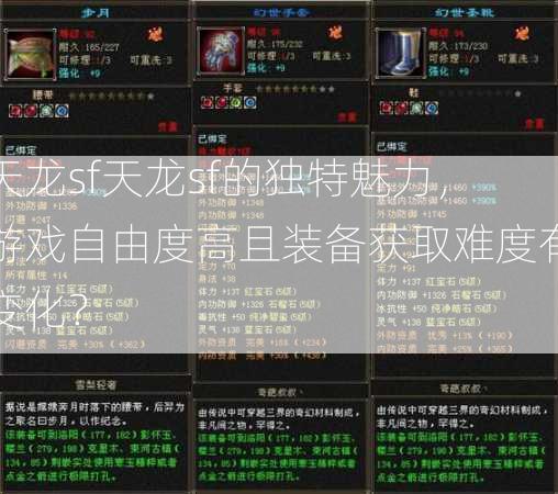 天龙sf天龙sf的独特魅力，游戏自由度高且装备获取难度有变化？  第2张