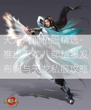 天龙八部私服精选-推出天龙八部私服发布网与天龙私服攻略  第3张