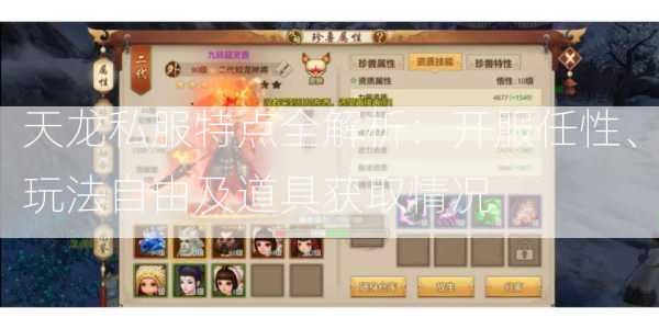 天龙私服特点全解析：开服任性、玩法自由及道具获取情况  第3张