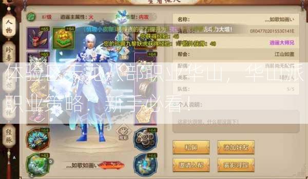 体验区天龙八部职业华山，华山派职业策略：新手必看！  第2张