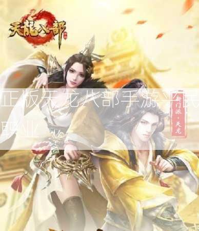 正版天龙八部手游平民职业  第3张
