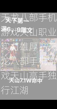 天龙八部手机游戏天山职业实力雄厚，天龙八部手机游戏天山高手独行江湖  第2张