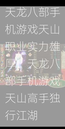 天龙八部手机游戏天山职业实力雄厚，天龙八部手机游戏天山高手独行江湖  第1张