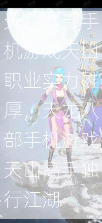 天龙八部手机游戏天山职业实力雄厚，天龙八部手机游戏天山高手独行江湖  第3张