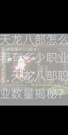 天龙八部怎么看有多少职业，天龙八部职业数量揭秘？  第3张
