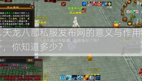 天龙八部私服发布网的意义与作用，你知道多少？  第3张