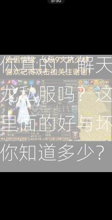 你真的了解天龙私服吗？这里面的好与坏你知道多少？  第1张