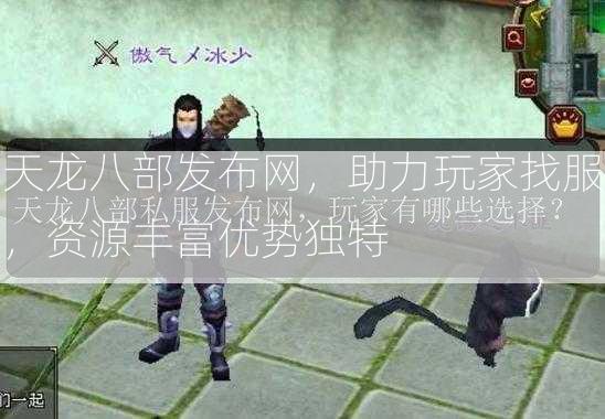 天龙八部发布网，助力玩家找服，资源丰富优势独特  第2张