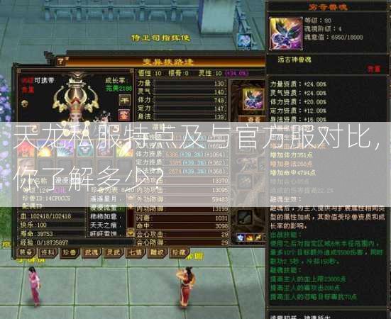 天龙私服特点及与官方服对比，你了解多少？  第1张