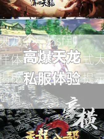 天龙sf天龙sf别样体验！登录方式大揭秘及奇怪诱导提示解析  第3张