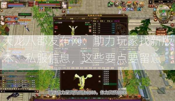 天龙八部发布网：助力玩家找新版本、私服信息，这些要点要留意  第1张