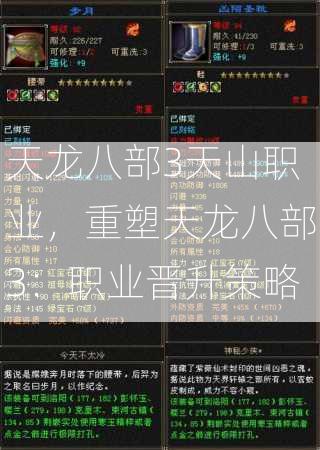天龙八部3天山职业，重塑天龙八部3：职业晋升策略  第2张