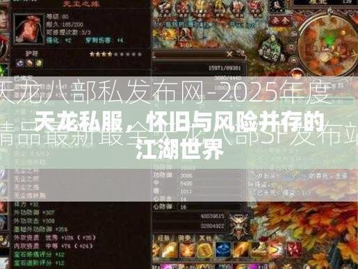 天龙八部私发布网-2025年度精品最新最全天龙八部SF发布站!  第3张
