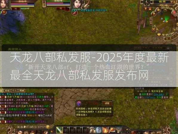 天龙八部私发服-2025年度最新最全天龙八部私发服发布网  第1张