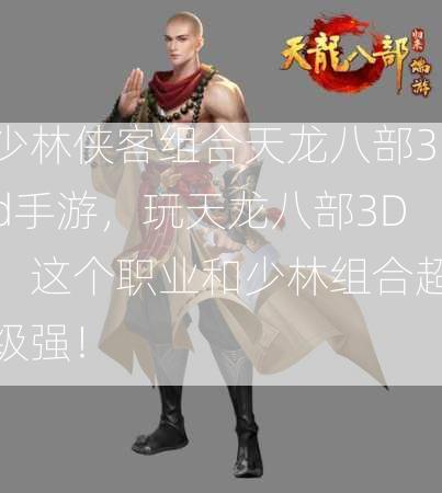 少林侠客组合天龙八部3d手游，玩天龙八部3D，这个职业和少林组合超级强！  第3张