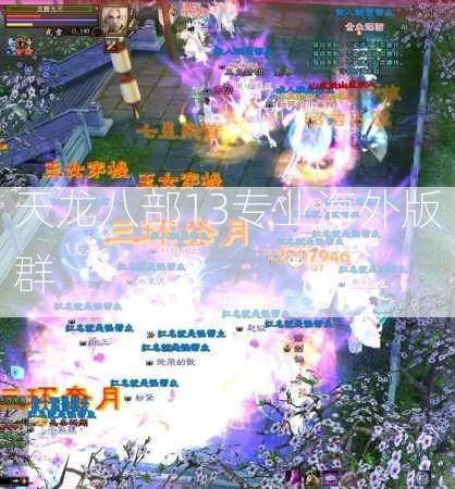 天龙八部13专业海外版群  第1张