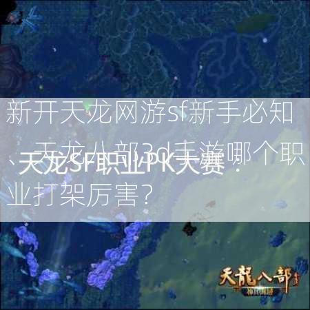 新开天龙网游sf新手必知、天龙八部3d手游哪个职业打架厉害？  第2张