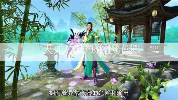天龙八部 职业玩家  第3张