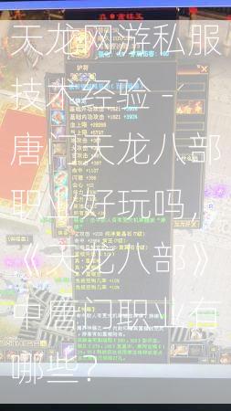 天龙网游私服技术经验 -唐门天龙八部职业好玩吗，《天龙八部》中唐门职业有哪些？  第1张
