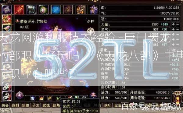 天龙网游私服技术经验 -唐门天龙八部职业好玩吗，《天龙八部》中唐门职业有哪些？  第3张
