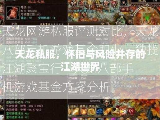 天龙网游私服评测对比，天龙八部手机游戏基金职业，独揽江湖聚宝行 - 天龙八部手机游戏基金方案分析  第2张