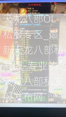 天龙八部OL私服专区_最新天龙八部私发服-专业的天龙八部私发服发布网  第2张