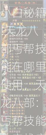 最新天龙网游私服小白秘籍!天龙八部丐帮技能在哪里使用，天龙八部：丐帮技能的实战应用！  第2张