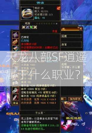 天龙八部SF逍遥属于什么职业？  第3张