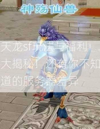 天龙sf玩法与福利大揭秘！还有你不知道的服务器差异  第3张