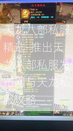 天龙八部私服精选-推出天龙八部私服发布网与天龙私服攻略
