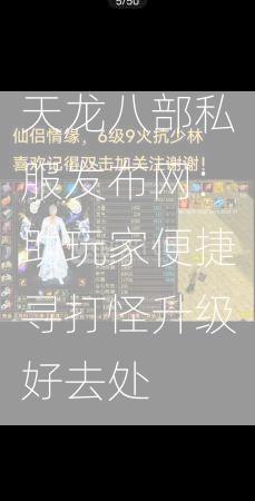 天龙八部私服发布网：助玩家便捷寻打怪升级好去处  第2张