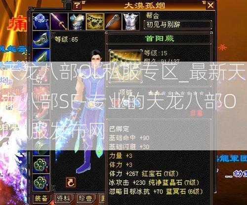 天龙八部OL私服专区_最新天龙八部SF-专业的天龙八部OL私服发布网  第3张
