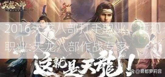 2016天龙八部打手职业，重视职业:天龙八部作战专家  第2张