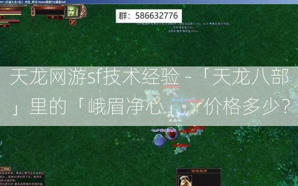天龙网游sf技术经验 -「天龙八部」里的「峨眉净心」，价格多少？  第3张
