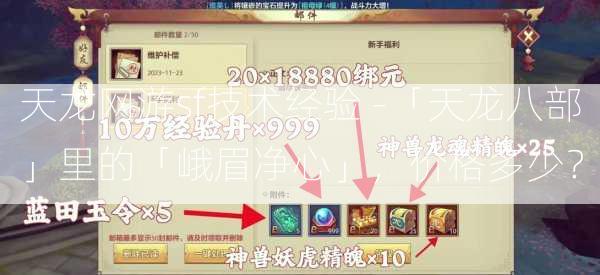 天龙网游sf技术经验 -「天龙八部」里的「峨眉净心」，价格多少？