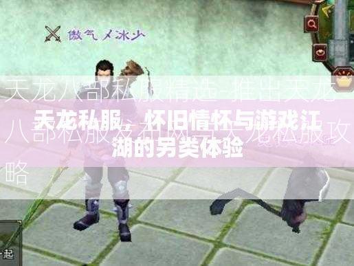 天龙八部私服精选-推出天龙八部私服发布网与天龙私服攻略  第2张