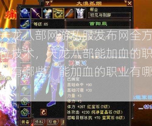 天龙八部网游私服发布网全方位技术，天龙八部能加血的职业有哪些，能加血的职业有哪些？  第2张