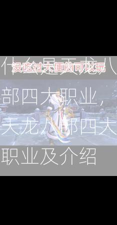什么是天龙八部四大职业，天龙八部四大职业及介绍  第3张